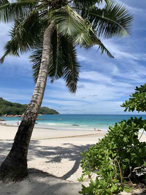 Seychelles beach