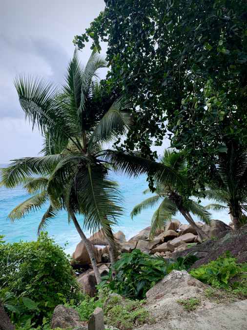 Seychelles view