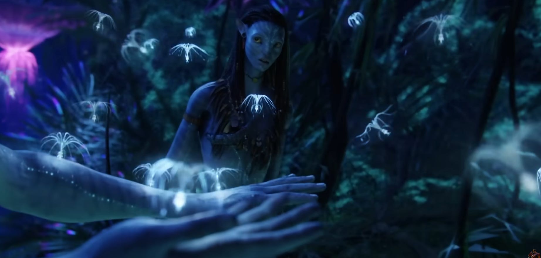 Frame from the movie Avatar (dir. James Cameron)
