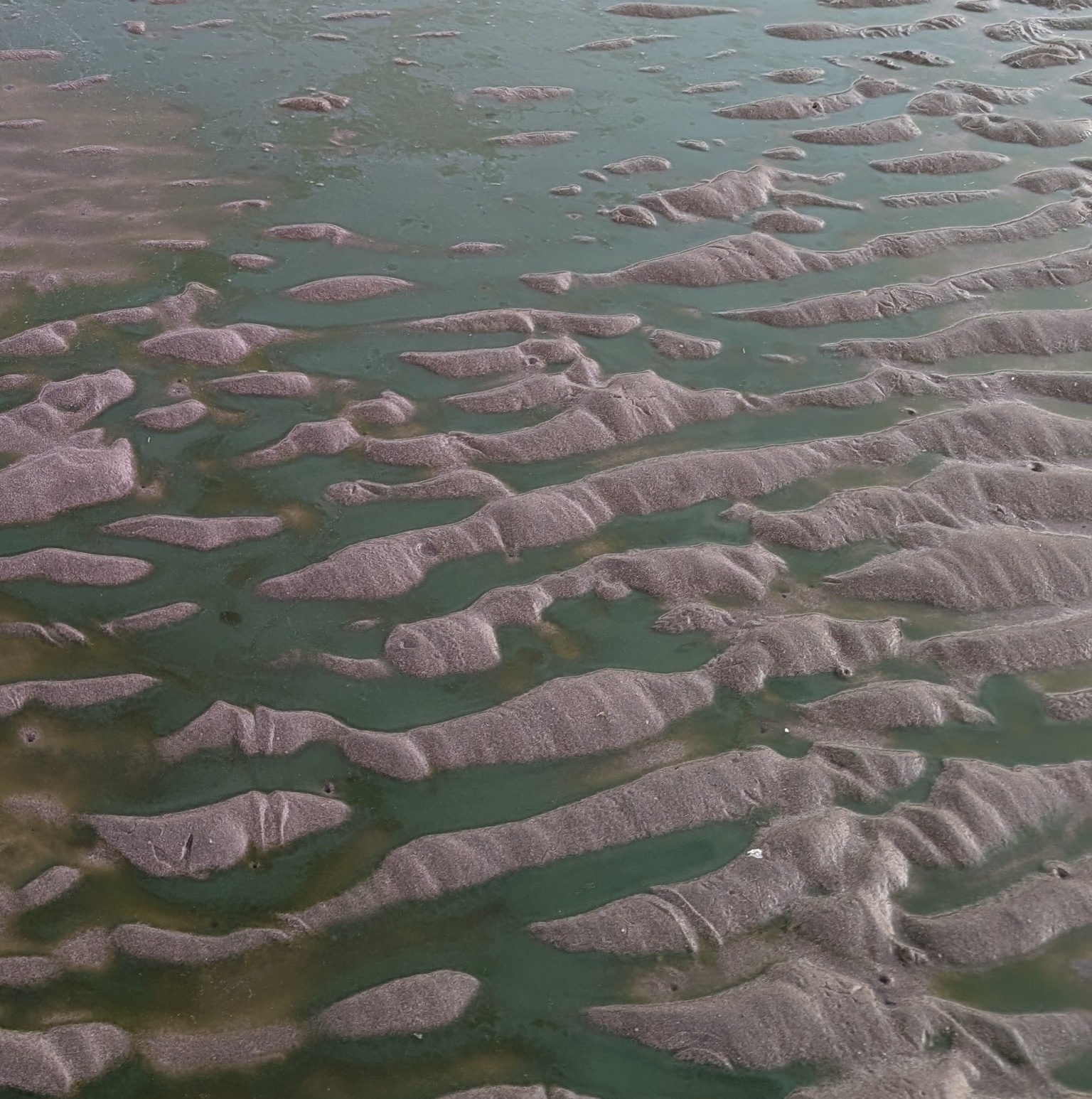 Green water on Qurum Beach