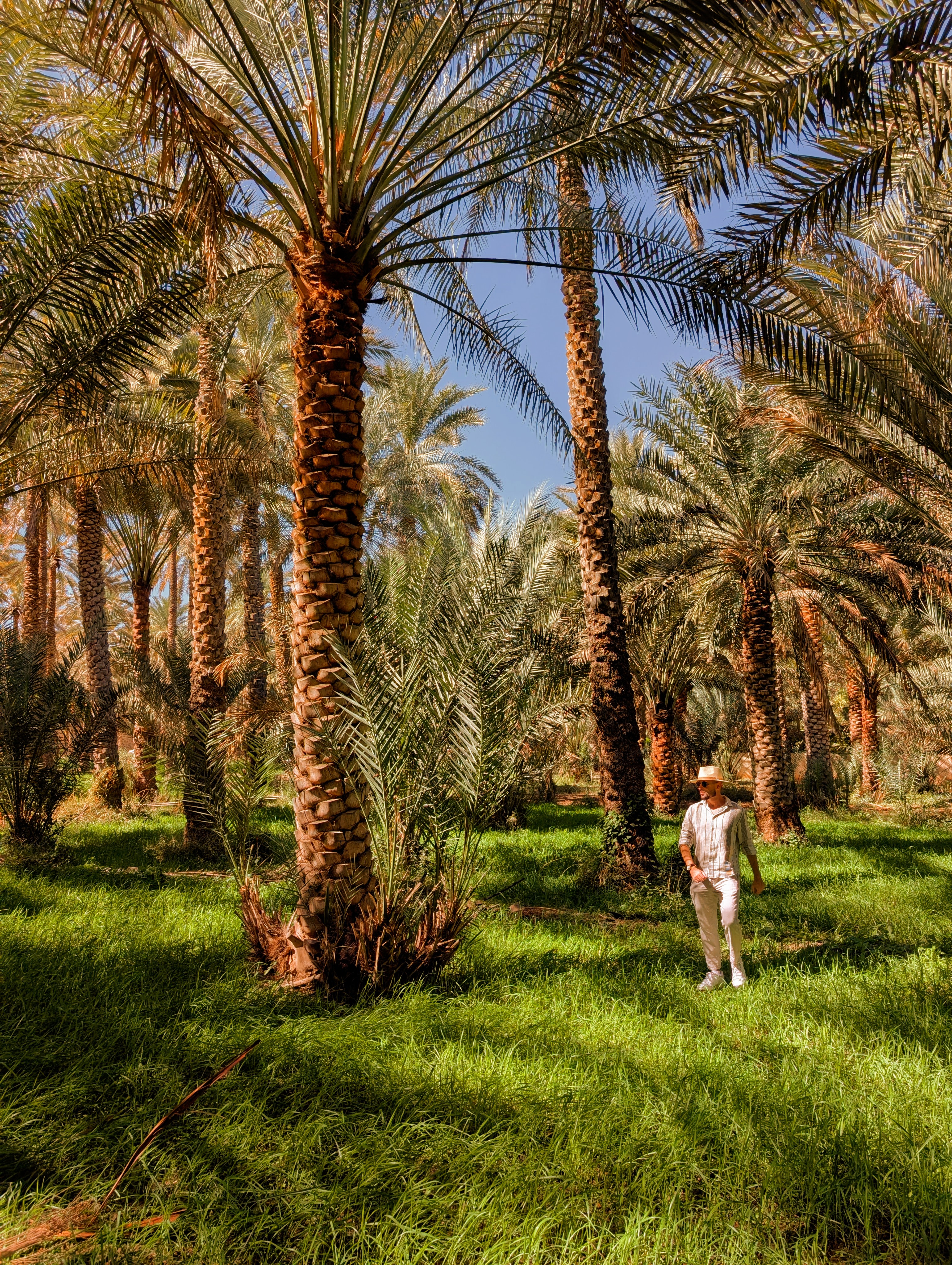 Roadtrip section of the Oman route